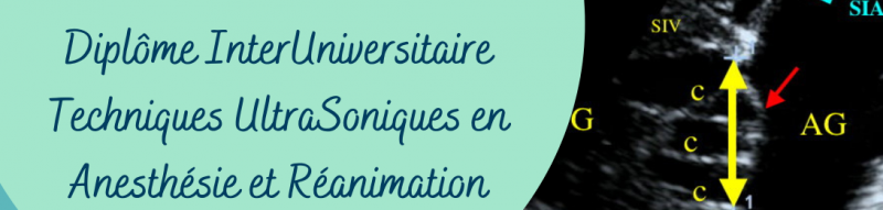 Bannière en tête DIU TUSAR